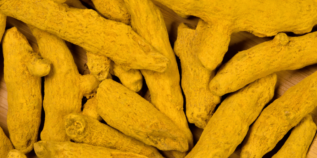 Raw Turmeric Exporter In India