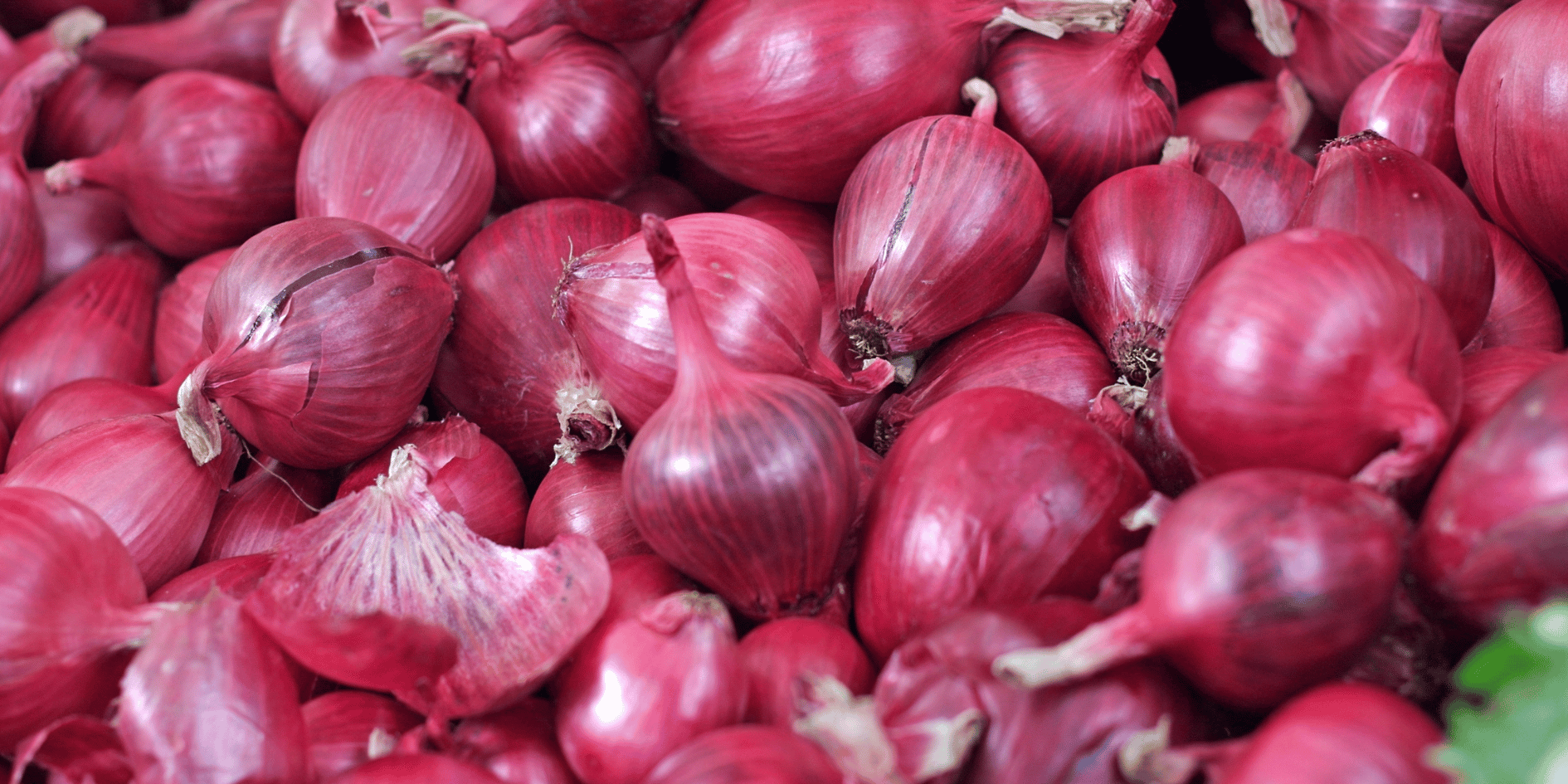 fresh onion supplier in Tamil Nadu
