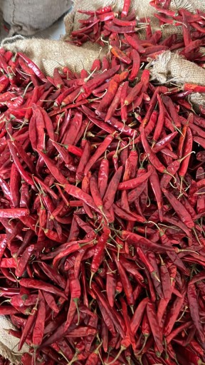 Prime Bangaram Chilli Dealer in India