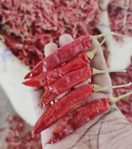 334 Chilli wholesaler in India