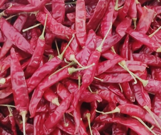 Armor Chilli Exporters In India