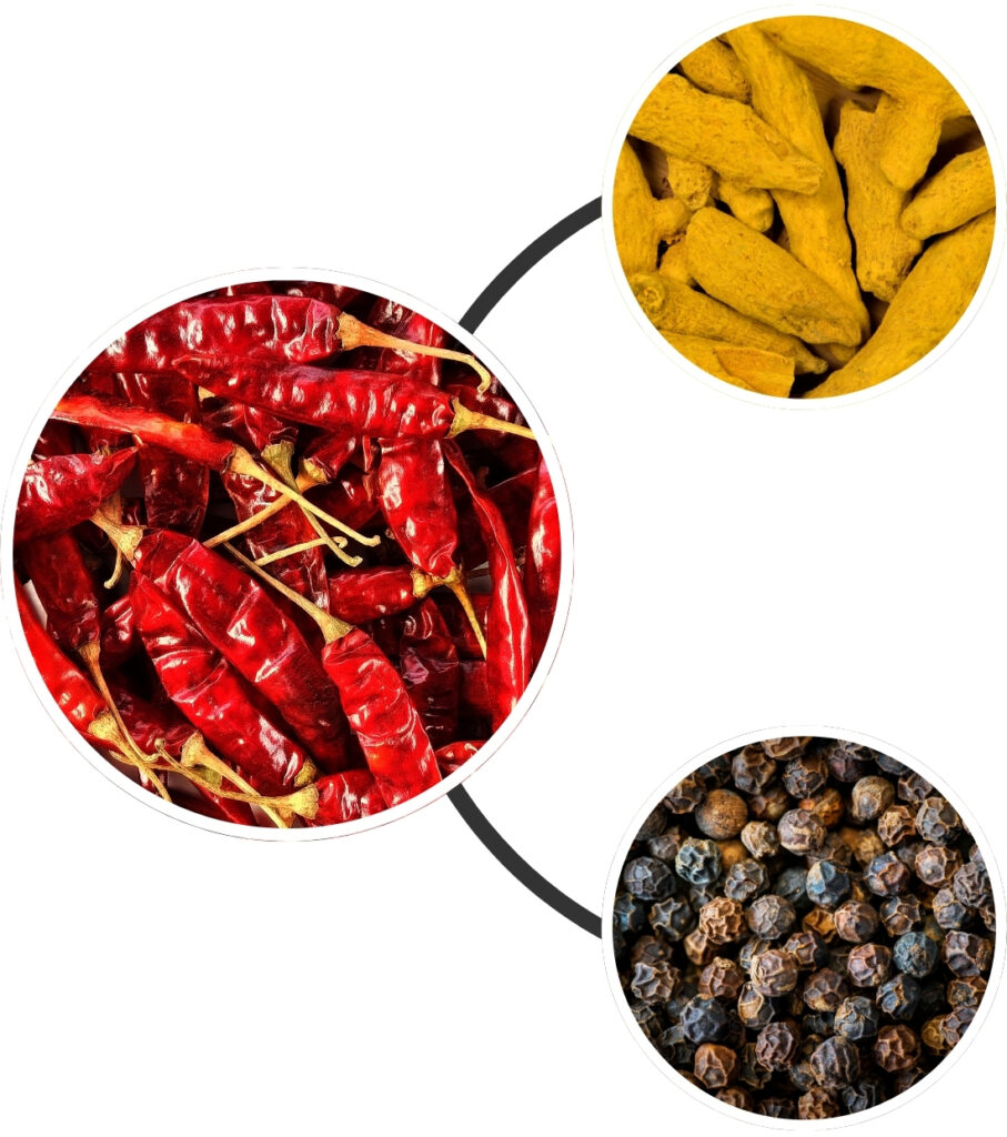 Nethra Exports